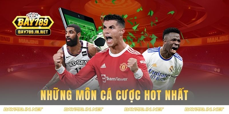 Những môn cá cược hot nhất